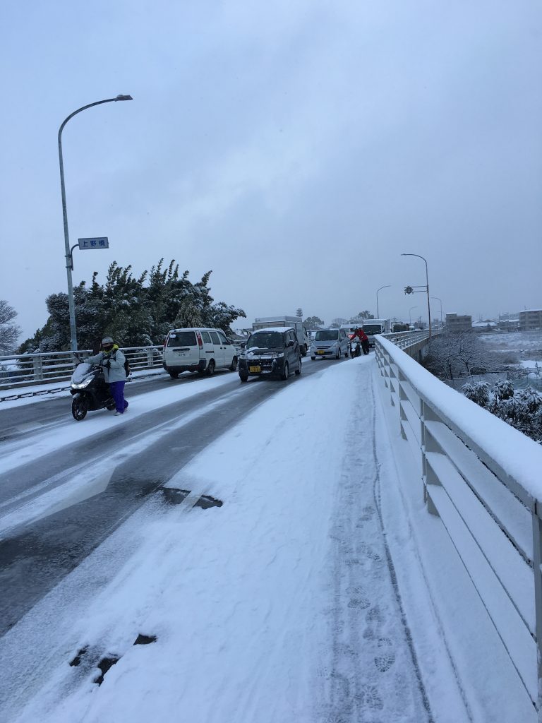 雪が降った。