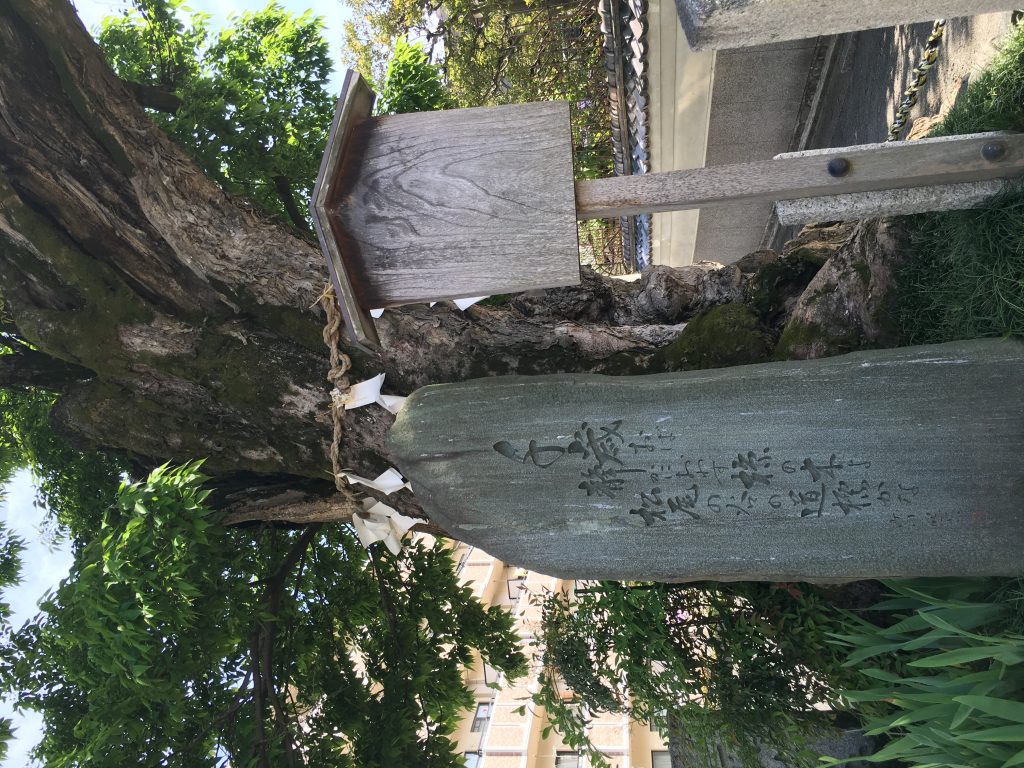 鈴虫寺の方へ散歩する。