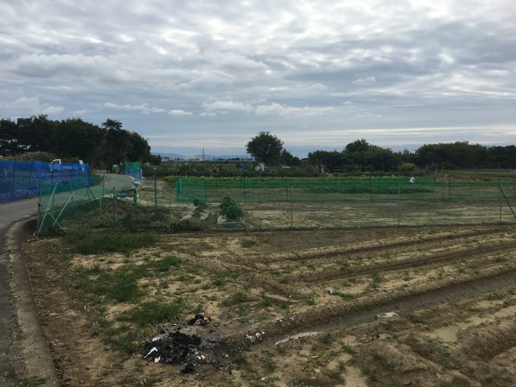 小学生の自殺、ノーベル賞