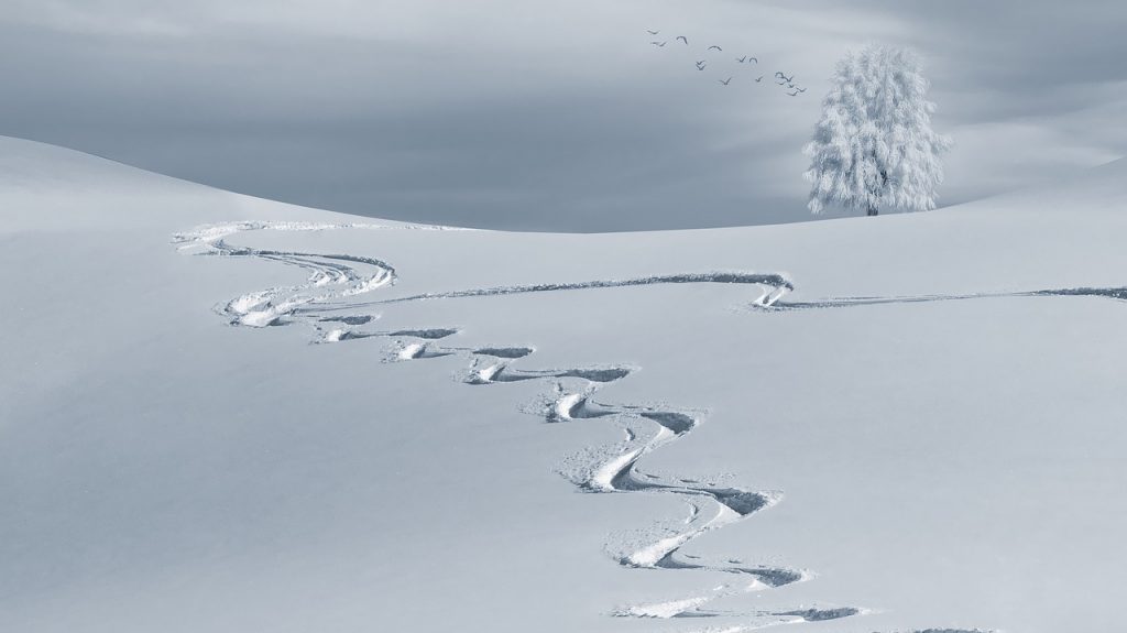 北陸ではまた雪が降るようだ。