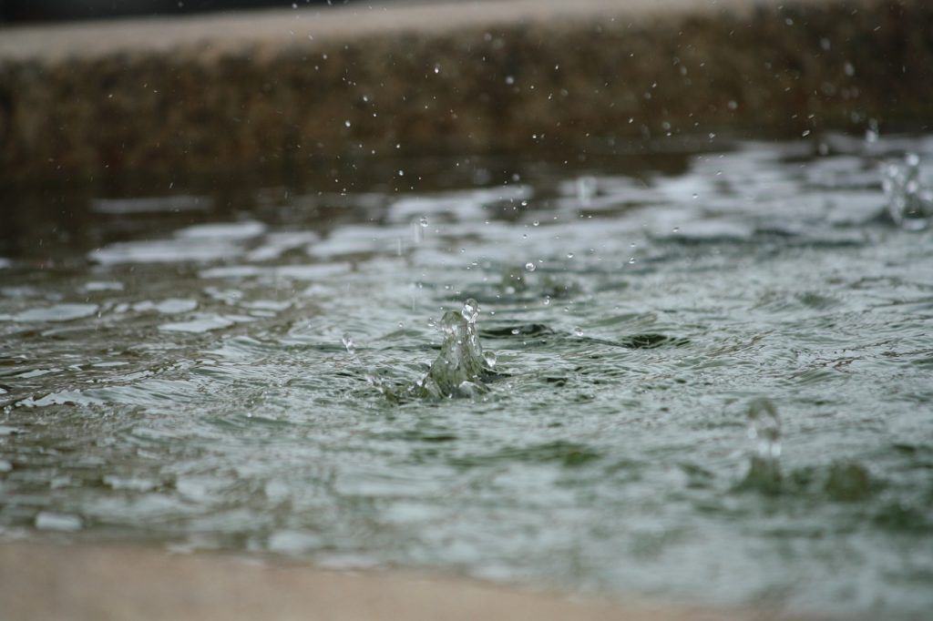 大雨は予想できなかった。