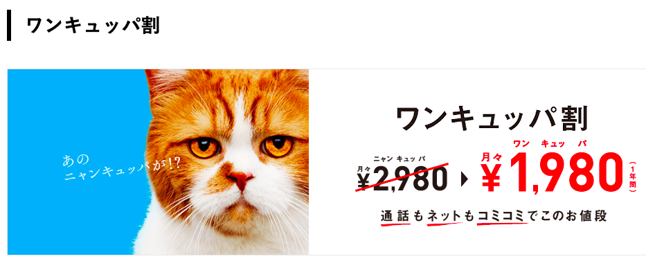 格安スマホ(ワイモバイル)にする。